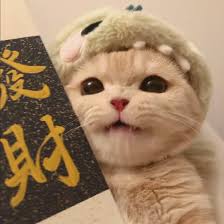 Ảnh đại diện Đỗ Thanh Hà